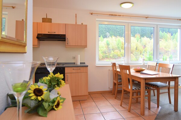 Appartement in Willingen: direct aan de piste, bos & golfbaan voor 6 personen - thumbnail 3