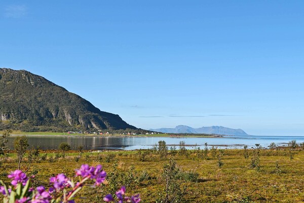 Ruim vakantiehuis met panoramisch uitzicht op zee en de Lofoten - thumbnail 1