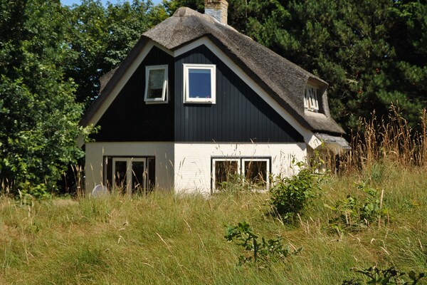 Landhuis De Kerkuil: luxe vakantievilla in het bos van De Cocksdorp - thumbnail 1