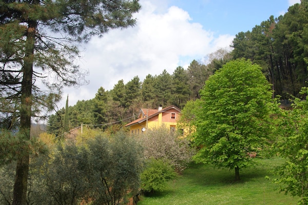 12-persoons vakantiehuis met privézwembad in Pescia - thumbnail 4
