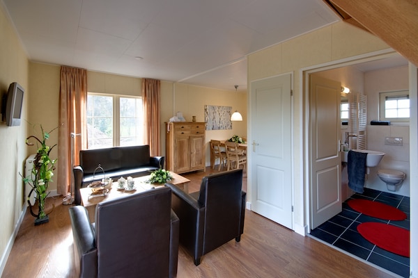 Lodge in hooibergstijl met sauna op Twents vakantiepark in Wierden - thumbnail 3