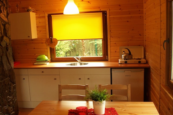 House among beautiful forests - thumbnail 3