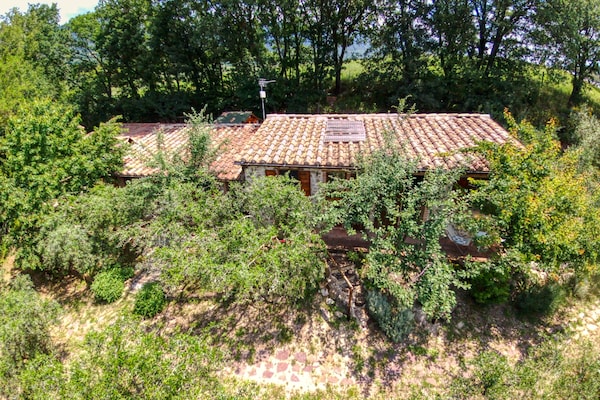 Op 1,0 km van centrum Assisi: ruim vakantiehuis Villa Giuli - thumbnail 2