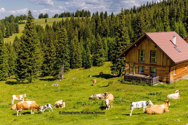 Ruim Alpenchalet voor 12 personen met sauna, vlakbij de skilift - thumbnail 4