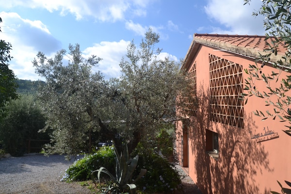 Vakantiehuis Lidia in Castagneto Carducci voor 4 personen - thumbnail 6