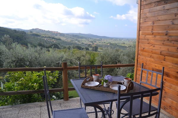 Vakantiehuis Lidia in Castagneto Carducci voor 4 personen - thumbnail 5