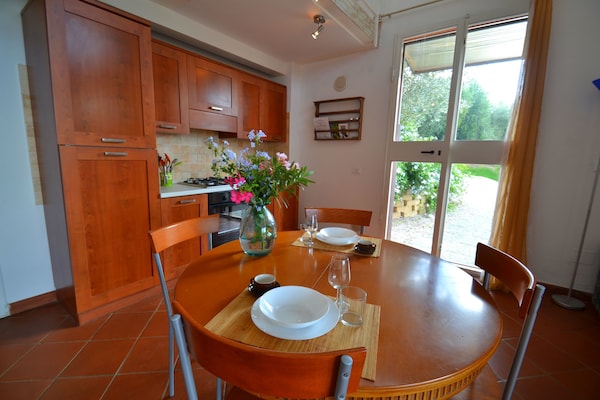 Vakantiehuis Lidia in Castagneto Carducci voor 4 personen - thumbnail 3