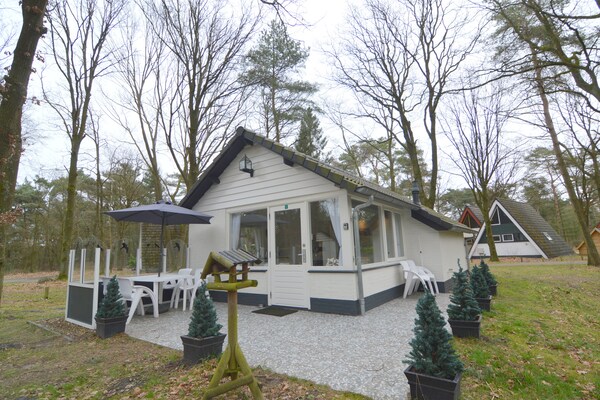 Knusse bosbungalow in Stramproy met terras aan de vijver - thumbnail 1