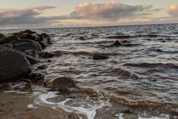 Kindvriendelijk vakantiehuis bij Skaven Strand, 600m van de Ringkøbing Fjord - thumbnail 6