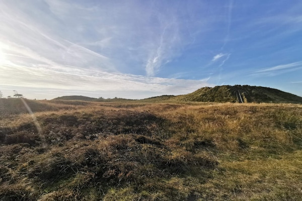 Luxe vakantiehuis op Rømø met sauna, whirlpool en uitzicht over het wad - thumbnail 5