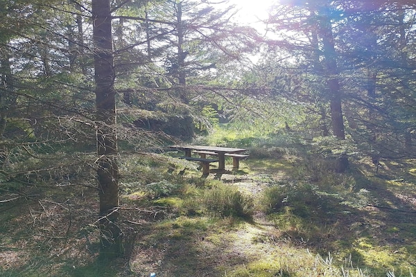 Rustiek vakantiehuis nabij meer en Noordzeestrand in Frøstrup - thumbnail 6