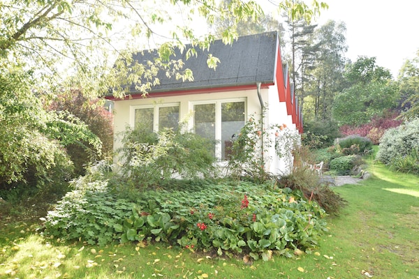 Artistiek vakantiehuis met Oostzeezicht en tuin in Kühlungsborn - thumbnail 2