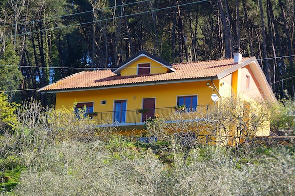 6-persoons vakantiehuis met privézwembad in Pescia - thumbnail 1