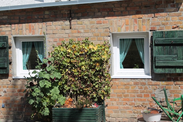Centraal gelegen appartement in Ribnitz-Damgarten bij het meer - thumbnail 5