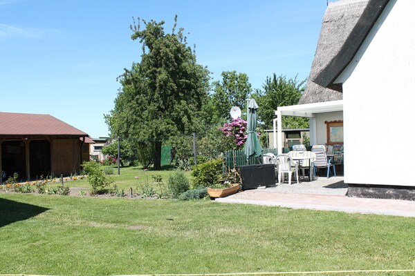 Knus Lerchennest onder riet: uw tweepersoonsappartement bij de Oostzee - thumbnail 6