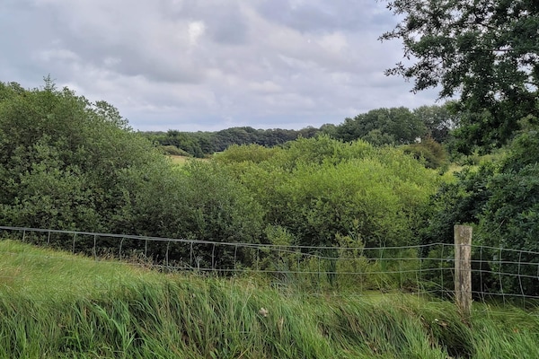 Vakantiehuis aan de Holme Å in Grindsted, Denemarken - thumbnail 3