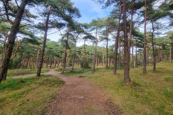Modern vakantiehuis met wellness en recreatie, 2,5 km van zee op Rømø - thumbnail 2