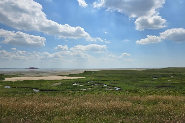 Modern vakantiehuis met wellness en recreatie, 2,5 km van zee op Rømø - thumbnail 4