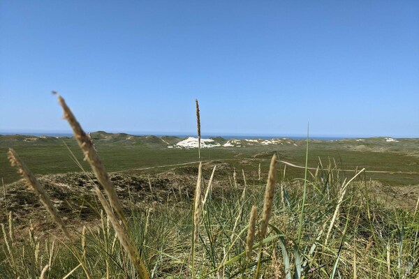 5-persoons vakantiehuis aan zee in Hvide Sande - thumbnail 4