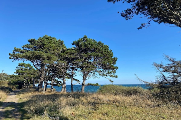 Licht Scandinavisch vakantiehuis nabij zee in Knebel - thumbnail 2