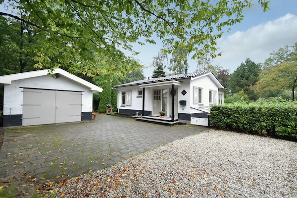 't Woudhuis: sfeervol vakantiehuis in de bossen van Holten - thumbnail 1