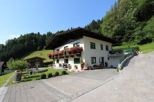 Haus am Waldrand in Austria - a perfect villa in Austria?