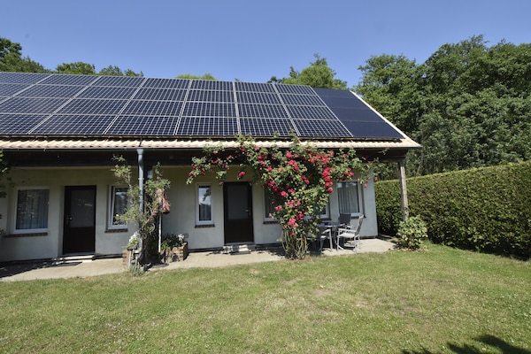 Rustgevend vakantiehuis voor 5 personen in Neubukow - thumbnail 6
