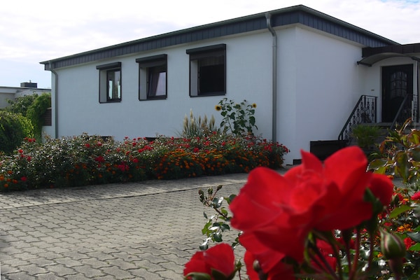 Direct aan het strand: Rustgevend appartement in Ostseebad Rerik - thumbnail 1