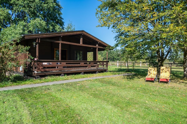Knus vakantiehuis in Eschede, omringd door bos en heide - thumbnail 1