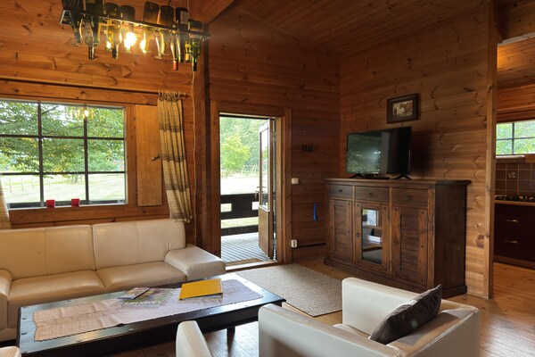 Knus vakantiehuis in Eschede, omringd door bos en heide - thumbnail 6