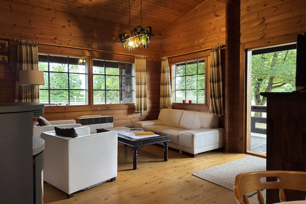 Knus vakantiehuis in Eschede, omringd door bos en heide - thumbnail 4