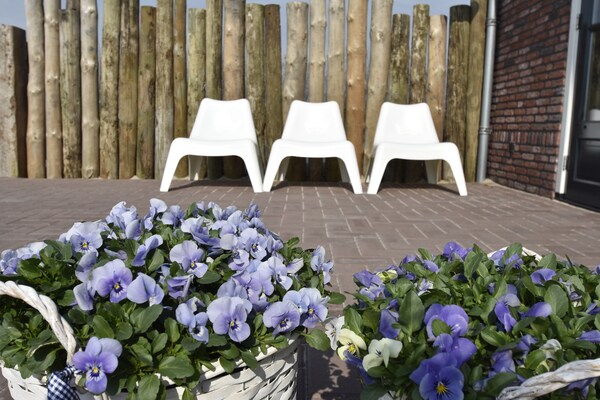 Hazenborgh Studio Eb: Knus vakantiehuis voor 2 in Callantsoog - thumbnail 6