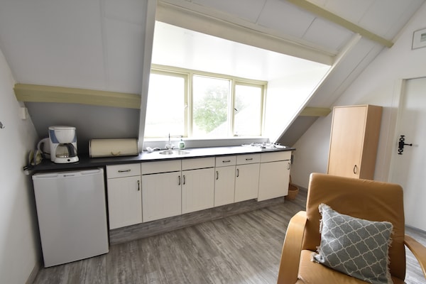 Licht appartement aan de Waddendijk in Hippolytushoef - thumbnail 3
