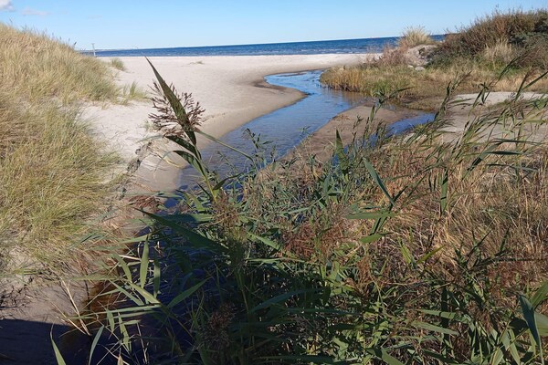 Knus vrijstaand vakantiehuis bij Ålbæk, dichtbij zee en duinen - thumbnail 6