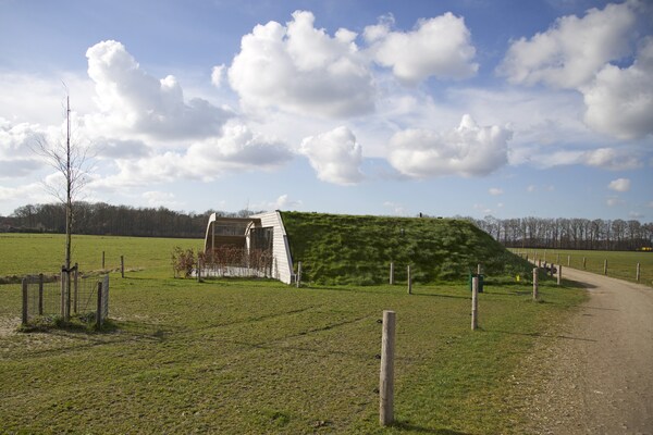 Koe in de Kost 2: unieke groene bungalow op het Sallandse platteland - thumbnail 6