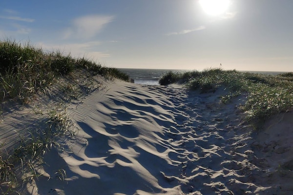 Ruim vakantiehuis op 150m van de Noordzee met dakterras en pizzaoven - thumbnail 6