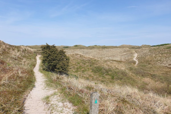 Aan zee: Rustgevend vakantiehuis in Bindslev met sauna en whirlpool - thumbnail 5