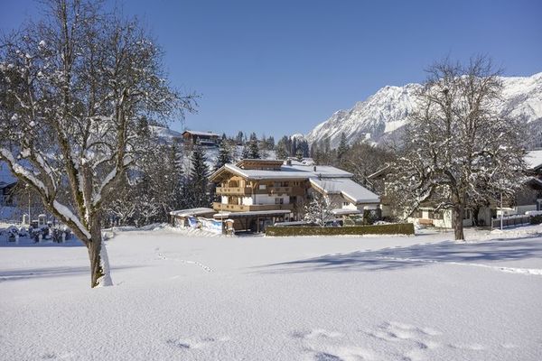 Haus Harmony II - Enzian in Austria - a perfect villa in Austria?