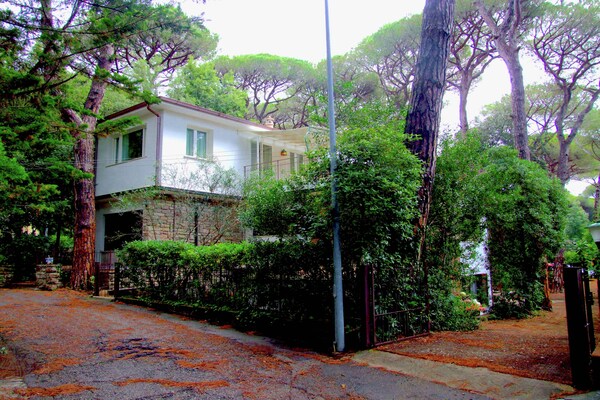Pineta Bouganville: Gezellig vakantiehuis op 300m van zee in Toscane - thumbnail 2