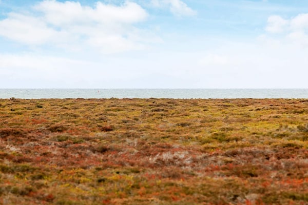 Vrijstaand vakantiehuis met panoramisch zeezicht op Læsø, 200m van de kust - thumbnail 4