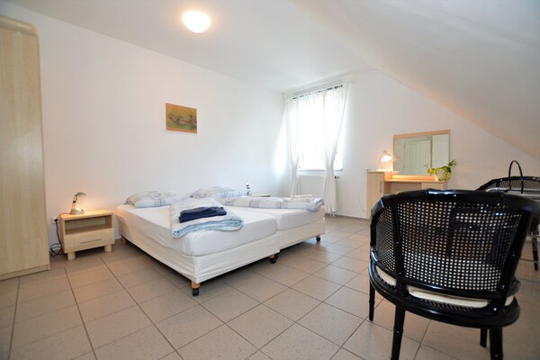 Ruim 8-persoons appartement aan de bosrand in Horní Nemojov - thumbnail 4