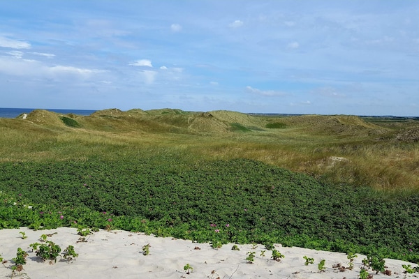 Licht vakantiehuis 300m van zee met whirlpool bij Ringkøbing - thumbnail 5