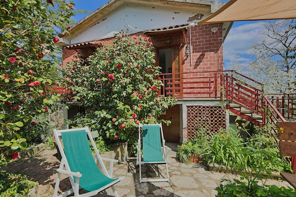 Op 1,0 km van het centrum: charmant vakantiehuis in Sassetta - thumbnail 3