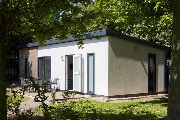 Modern vrijstaand chalet op Roompot Beach Resort, 6 pers., huisdier welkom - thumbnail 4
