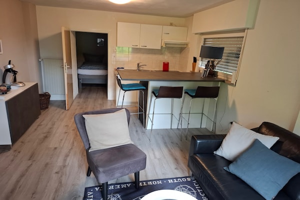 Knus appartement aan de bosrand met tuin en uitzicht in Schwalefeld - thumbnail 4