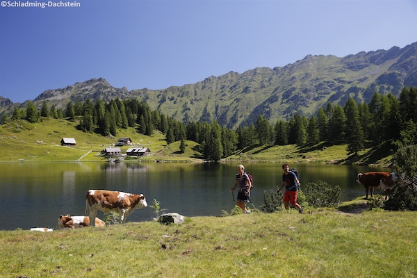 Ruim appartement Alpenrock Schladming 4 voor 8 personen - thumbnail 5