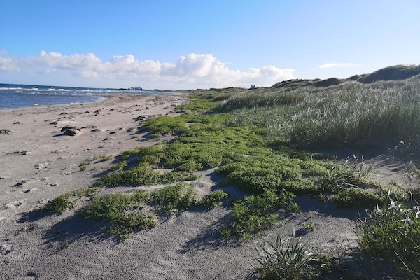 Vrijstaand huis met sauna op Læsø, 4,5 km van zee - thumbnail 4