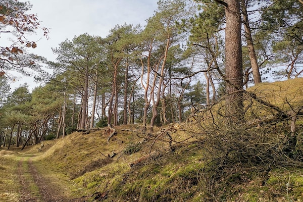4-persoons vakantiehuis in Oksbøl op 1,2 km van de zee - thumbnail 3