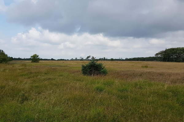 4-persoons vakantiehuis in Oksbøl op 1,2 km van de zee - thumbnail 5