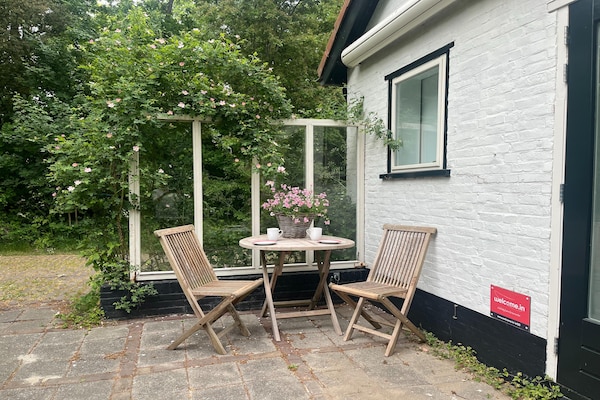 Vrijstaand boshuis met luxe tuin op 200 meter van het strand - thumbnail 3
